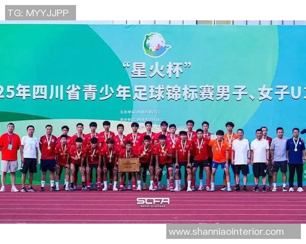 成都足球队在锦标赛中的战术分析与表现评估