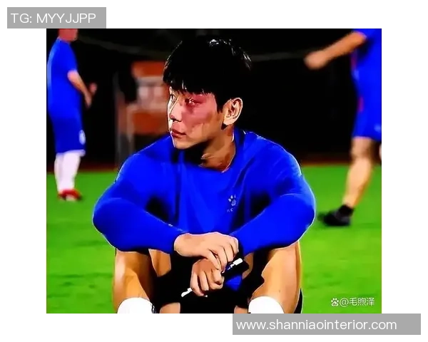 我心中的足球英雄明星们的倾情告白与热爱分享