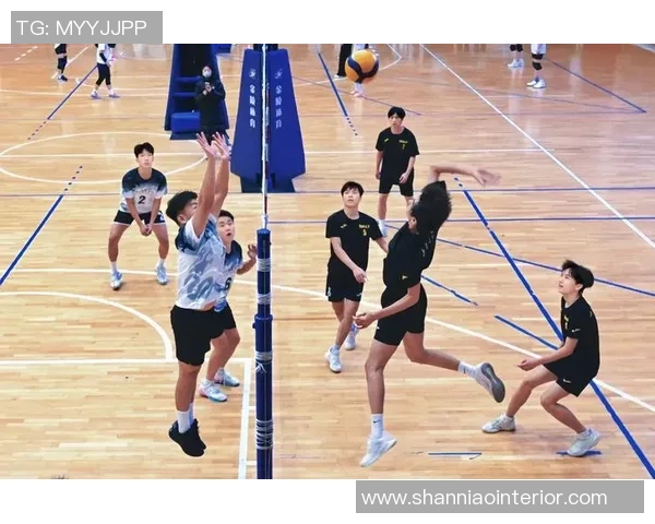 排球耐力排行榜揭晓上海排球队荣获第二名彰显实力与拼搏精神