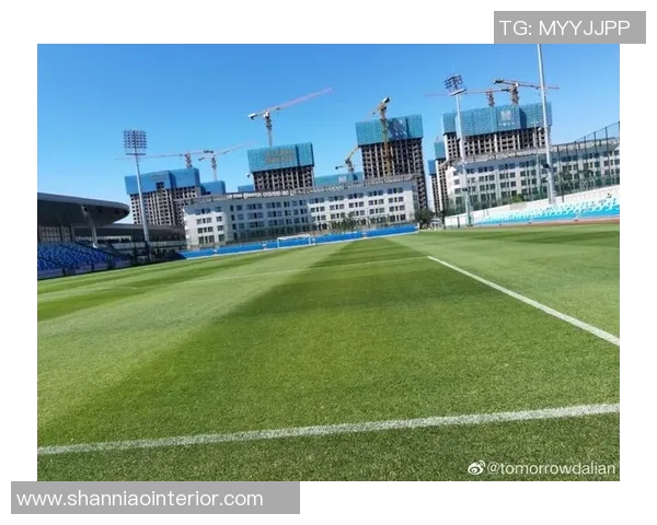 星海人家足球明星的成长之路与辉煌成就探秘